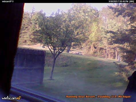 land o lakes webcam|john dee northwoods cam.